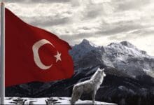 Türk Mitolojisi ve Kültüründe Bozkurt 23 Bozkurt