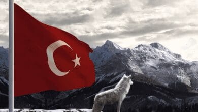 Türk Mitolojisi ve Kültüründe Bozkurt 32 Bozkurt