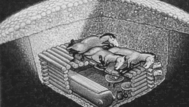 Türk Mitolojisinde evren ve dünya