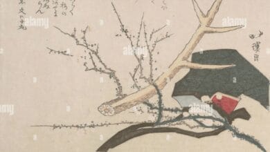 Toyouke: Japon Mitolojisinde Bereketin ve Tarımın Tanrıçası 47 Toyouke: Japon Mitolojisi