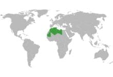 Magrip Arapları: Kuzey Afrika'nın Çeşitlilik ve Kültürel Zenginliği 31 Magrip Arapları