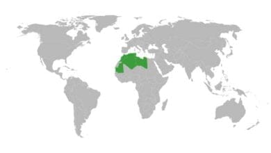 Magrip Arapları: Kuzey Afrika'nın Çeşitlilik ve Kültürel Zenginliği 15 Magrip Arapları