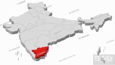 Tamil İmparatorluğu: Antik Hindistan'ın Güney Gücü ve Dravid Uygarlığının İhtişamı 12 Tamil İmparatorluğu