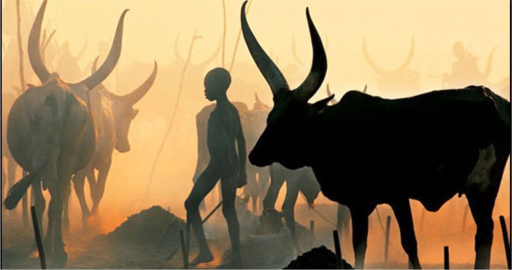 Dinka Dini: Güney Sudan'ın Kadim İnançları ve Ruhani Geleneği 11 image 1 44