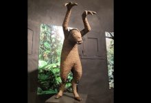Ao Ao: Guaraní Mitolojisinin Yaban Domuzu Benzeri İnsan Avcısı 30 Ao Ao: Guaraní Mitolojisinin Yaban Domuzu Benzeri İnsan Avcısı