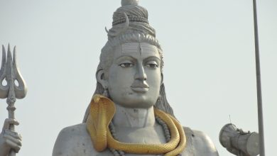 Vasuki: Hindu ve Budist Mitolojilerde Yılan Kralı 29 Vasuki: Hindu ve Budist Mitolojilerde Yılan Kralı