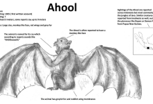 Ahool: Java Ormanlarının Efsanevi Dev Yarasa-Primat Kombinasyonu 35 Ahool: Java Ormanlarının Efsanevi Dev Yarasa-Primat Kombinasyonu